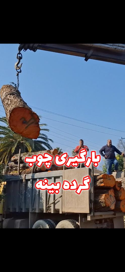 خدمات در مناطق مختلف